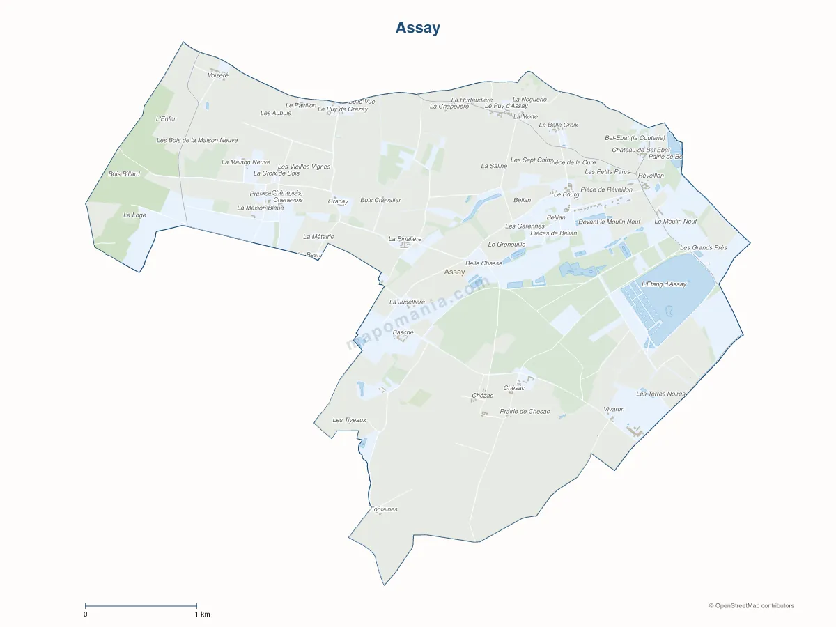 Carte de Assay à personnaliser