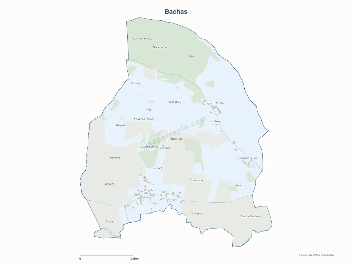 Carte de Bachas à personnaliser