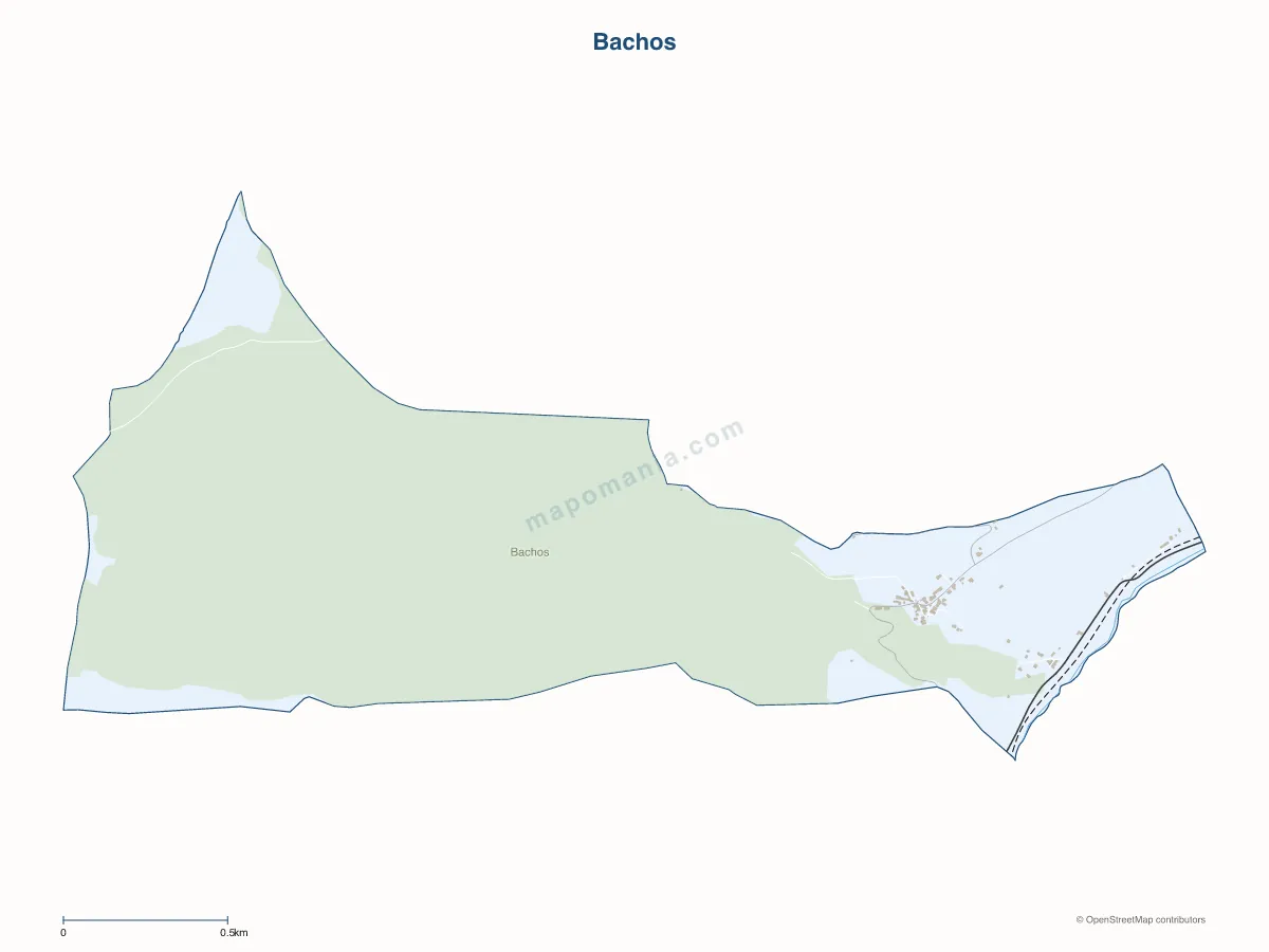Carte de Bachos à personnaliser