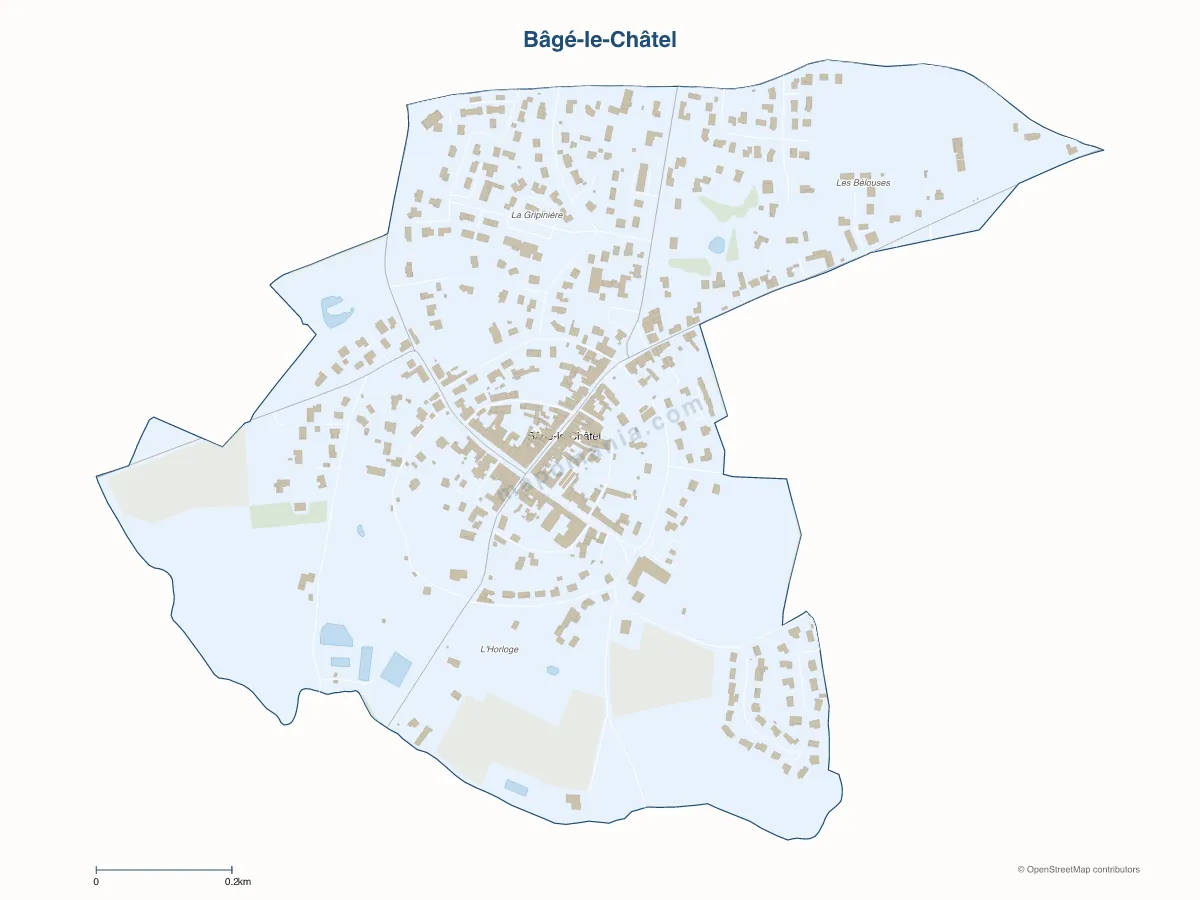 Carte de Bâgé-le-Châtel à personnaliser