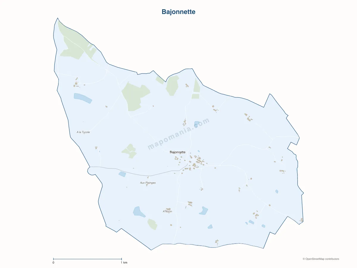 Carte de Bajonnette à personnaliser