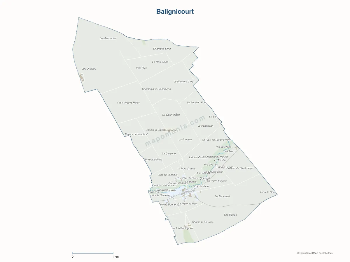 Carte de Balignicourt à personnaliser
