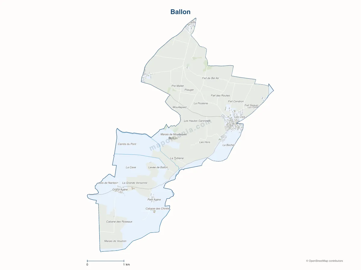 Carte de Ballon à personnaliser
