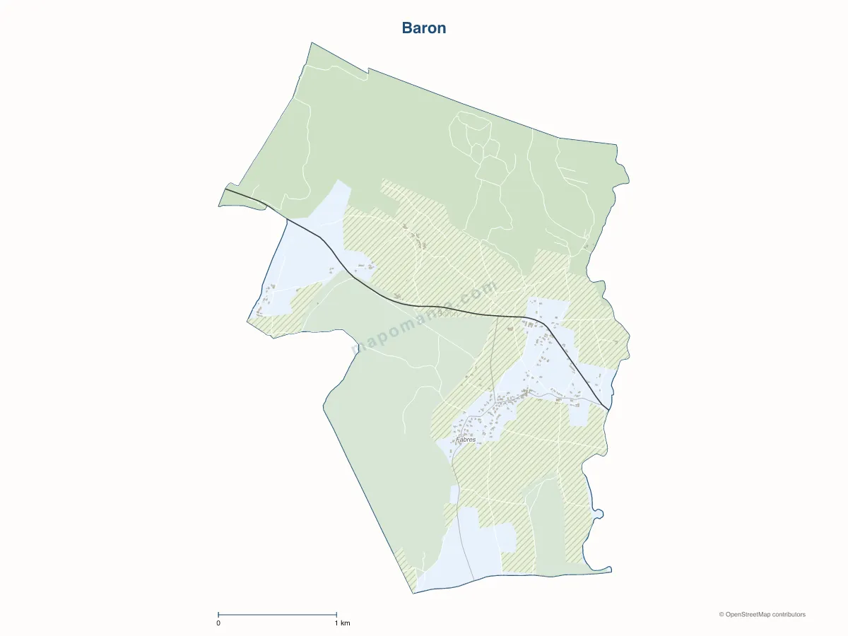 Carte de Baron à personnaliser