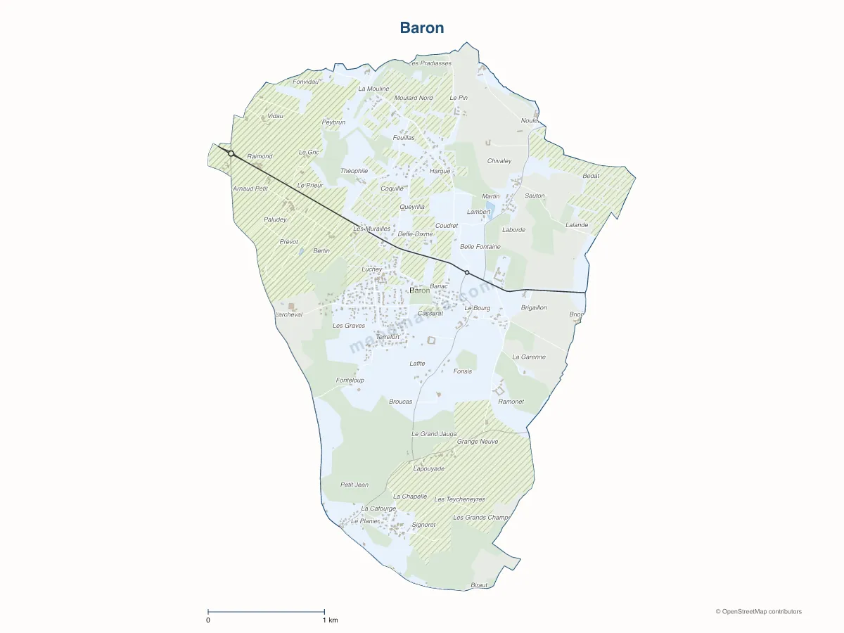 Carte de Baron à personnaliser