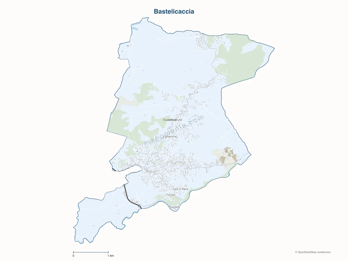 Carte de Bastelicaccia à personnaliser