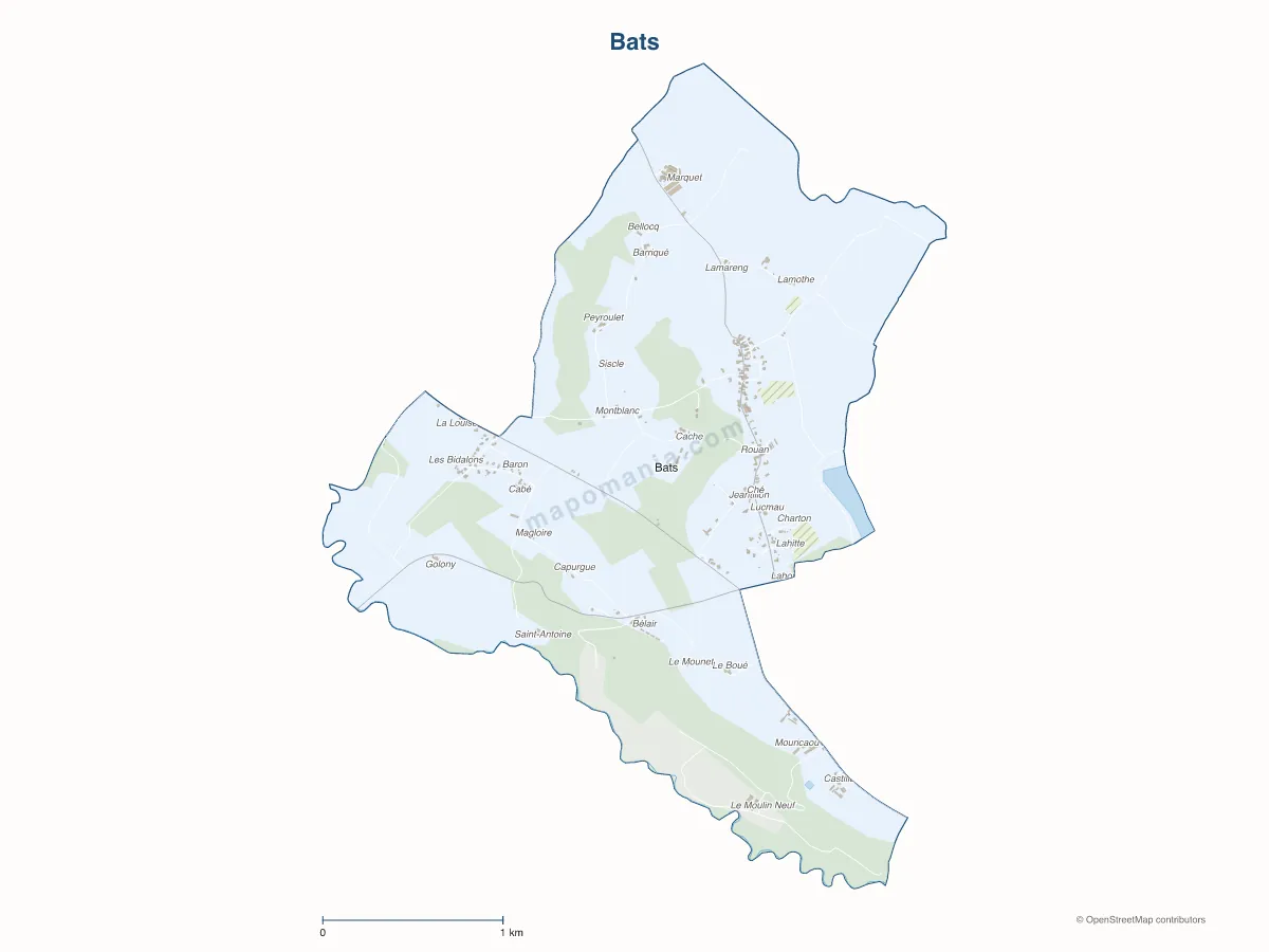 Carte de Bats à personnaliser