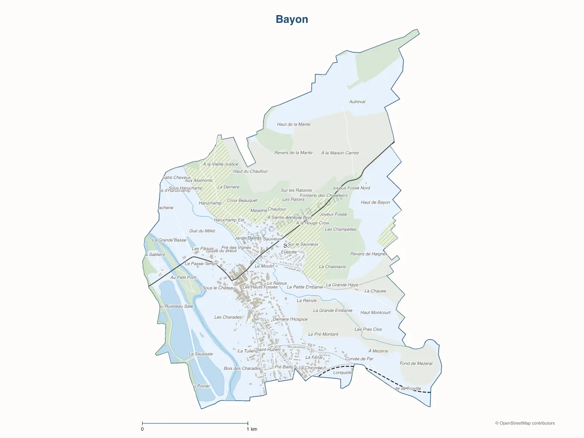 Carte de Bayon à personnaliser