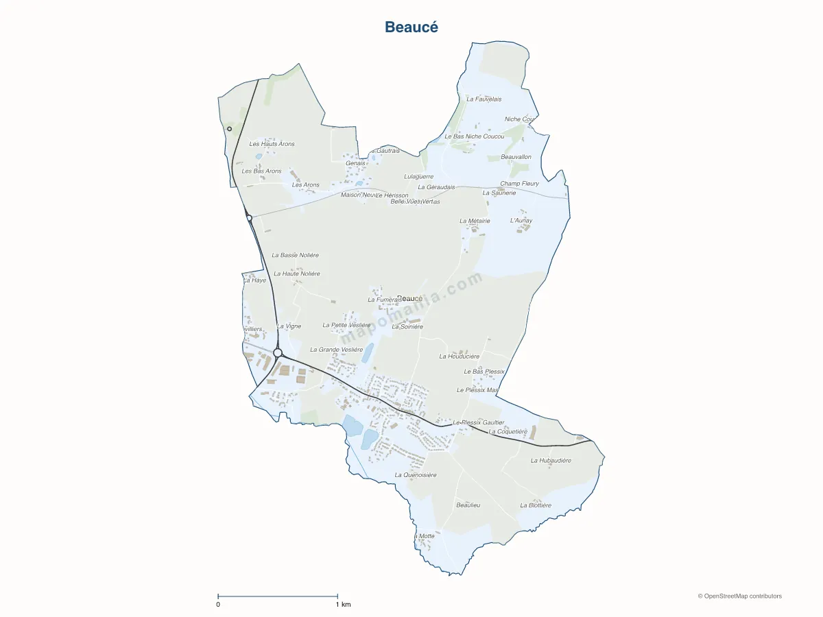 Carte de Beaucé à personnaliser