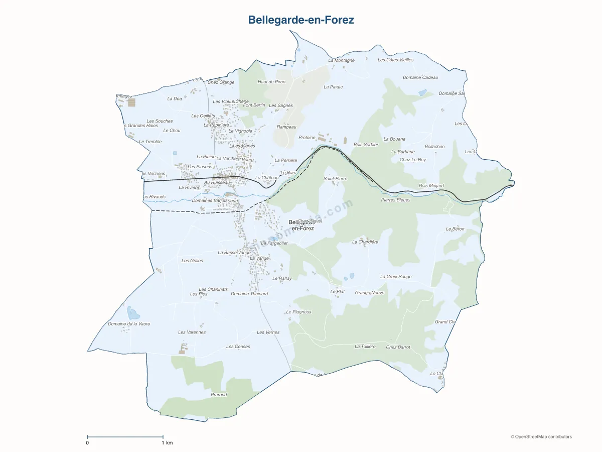 Carte de Bellegarde-en-Forez à personnaliser