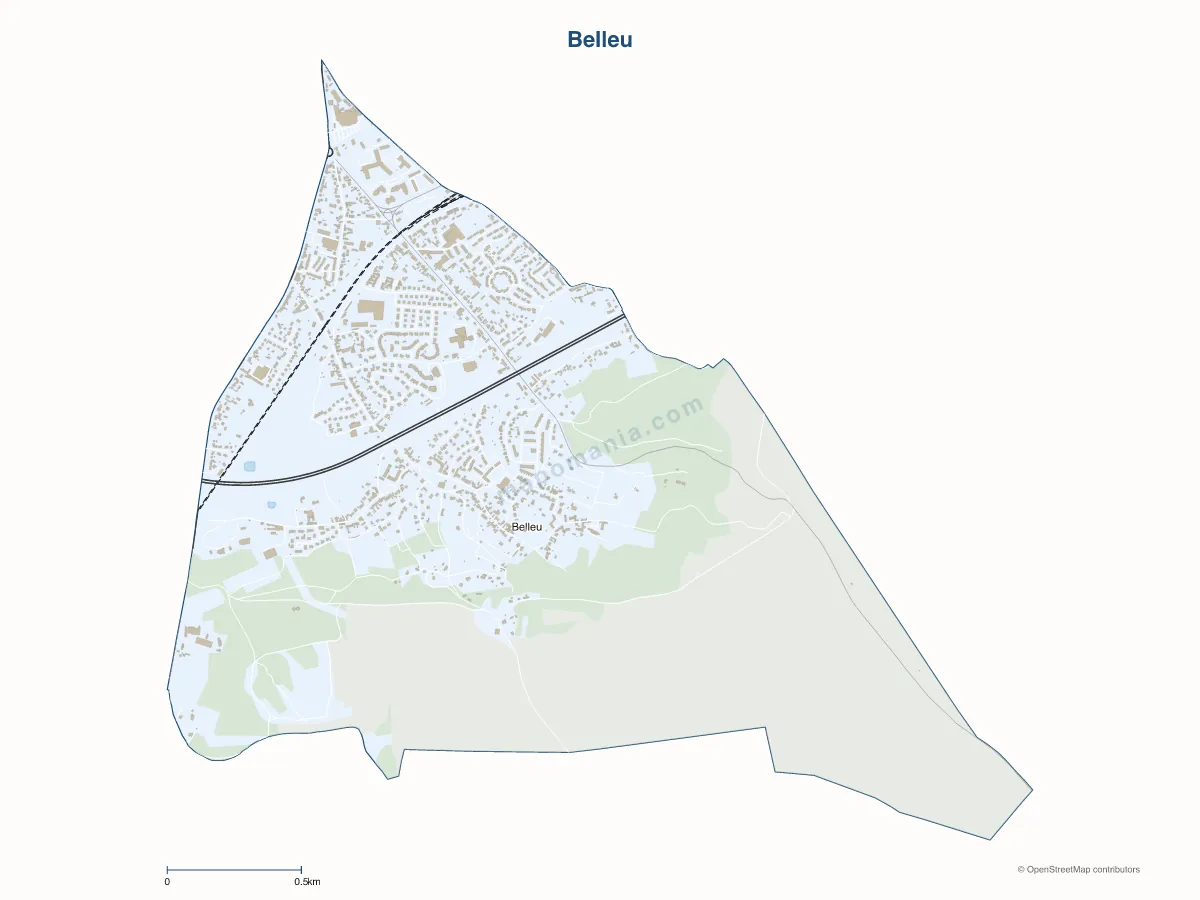 Carte de Belleu à personnaliser