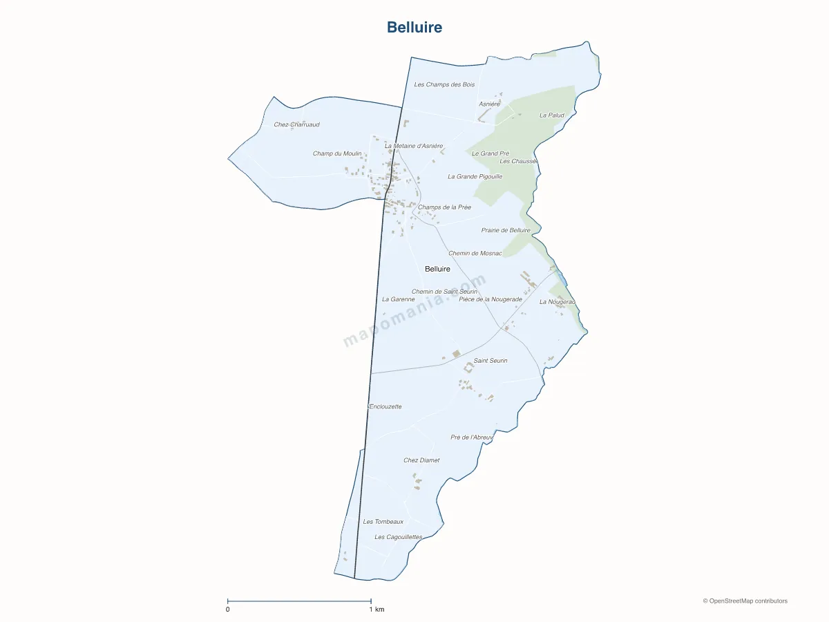 Carte de Belluire à personnaliser