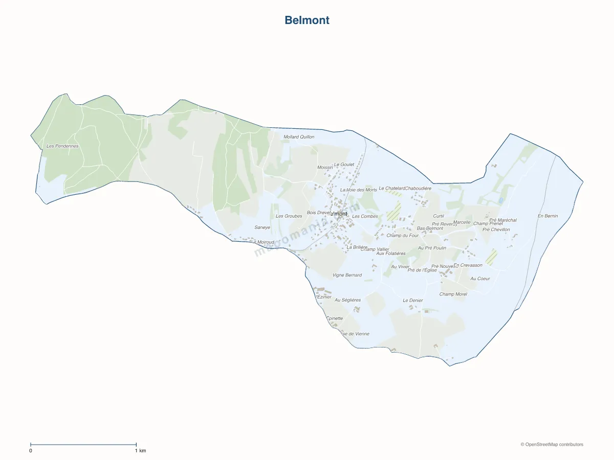 Carte de Belmont à personnaliser