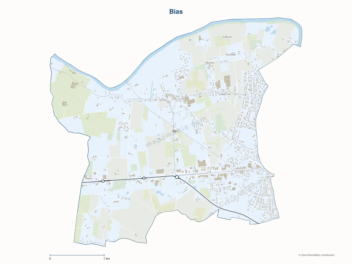 Carte de Bias à personnaliser