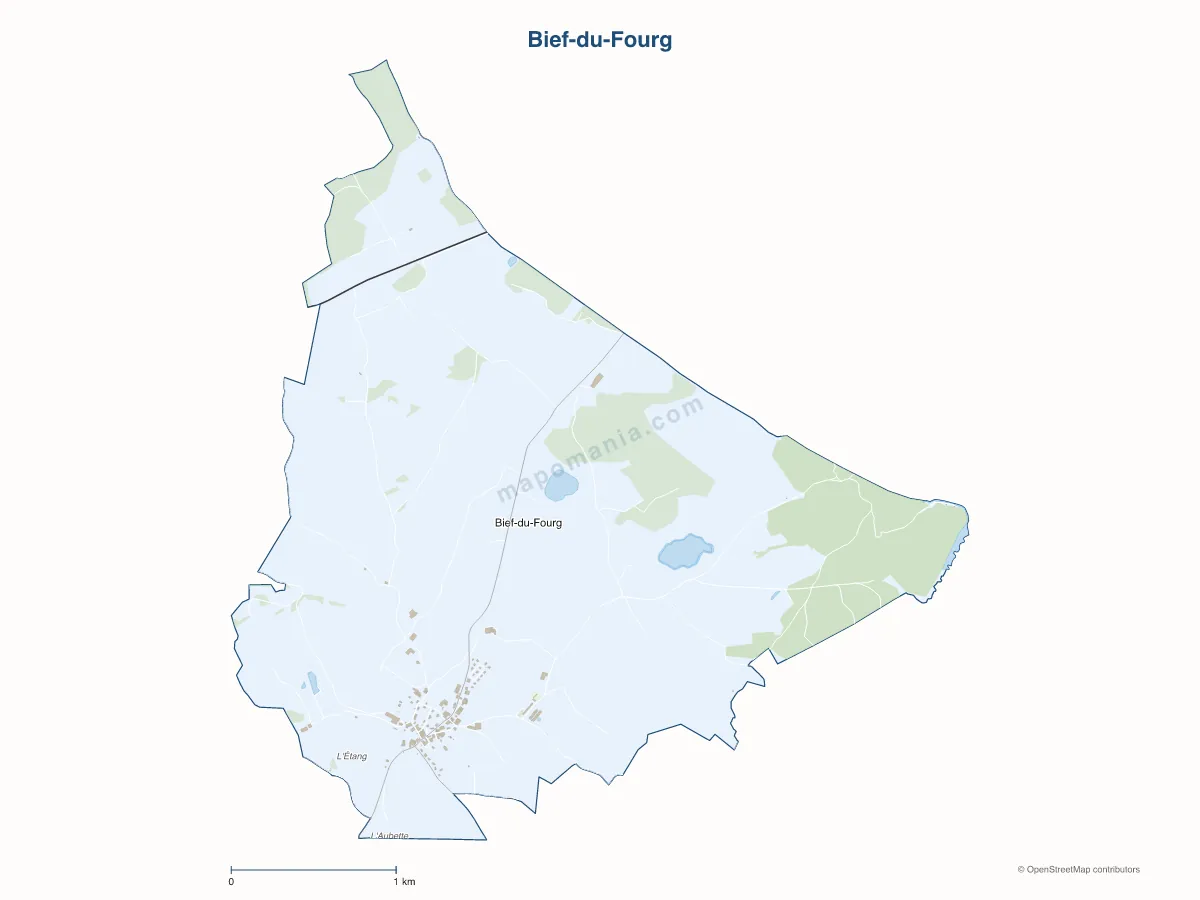 Carte de Bief-du-Fourg à personnaliser