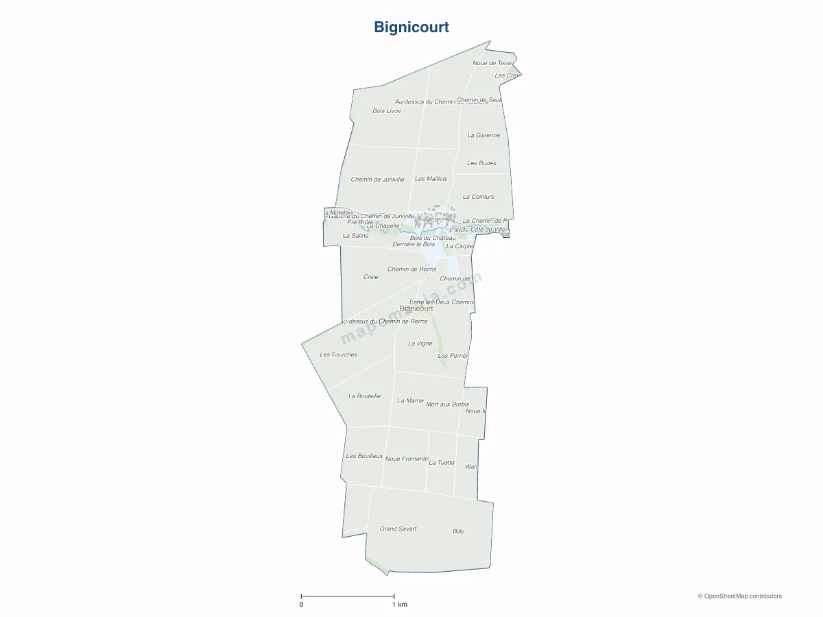 Carte de Bignicourt à personnaliser