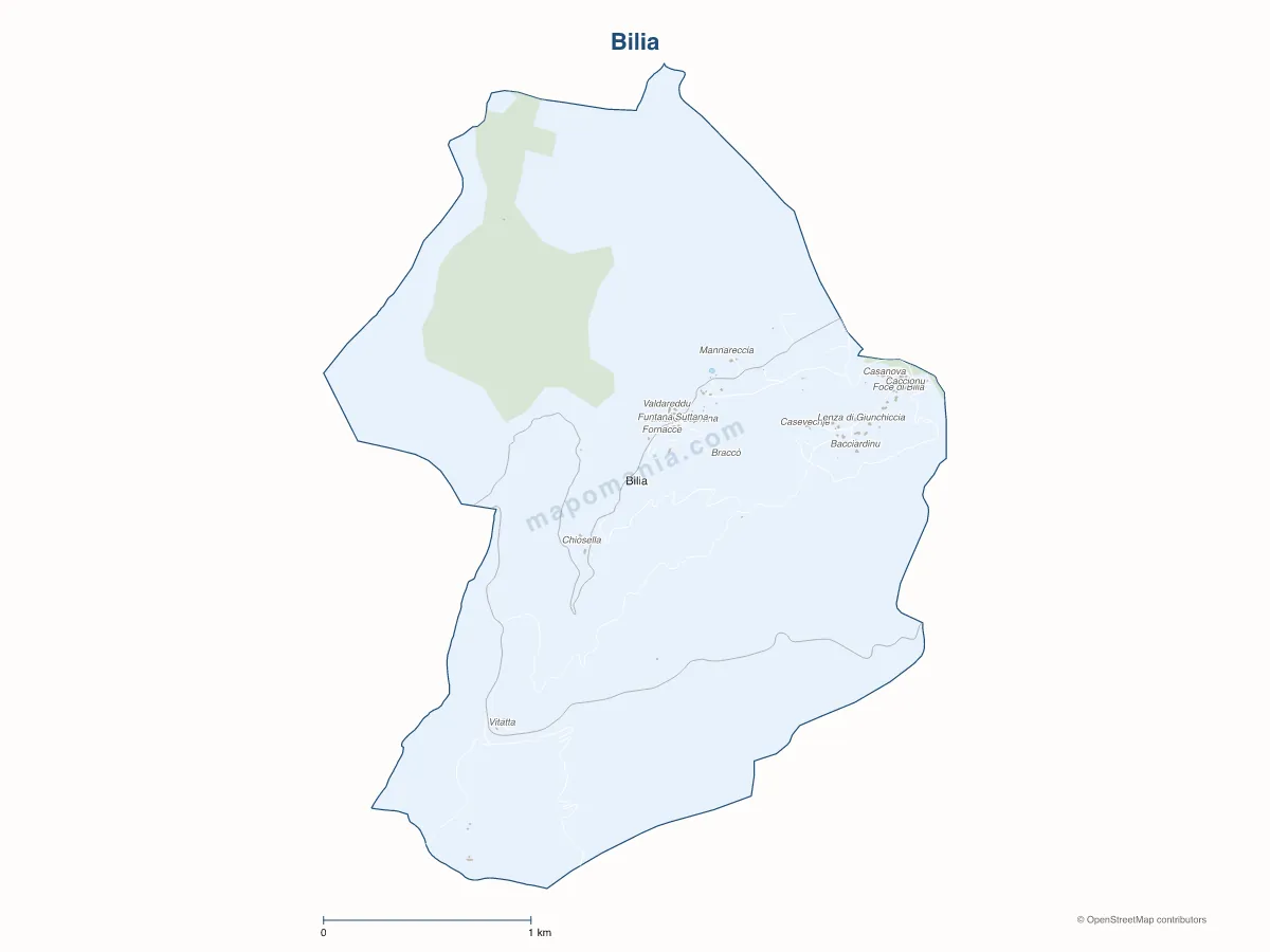 Carte de Bilia à personnaliser