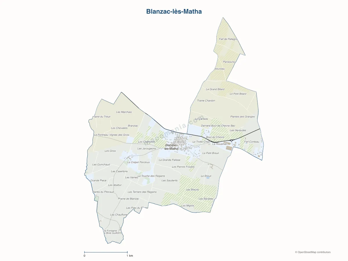 Carte de Blanzac-lès-Matha à personnaliser