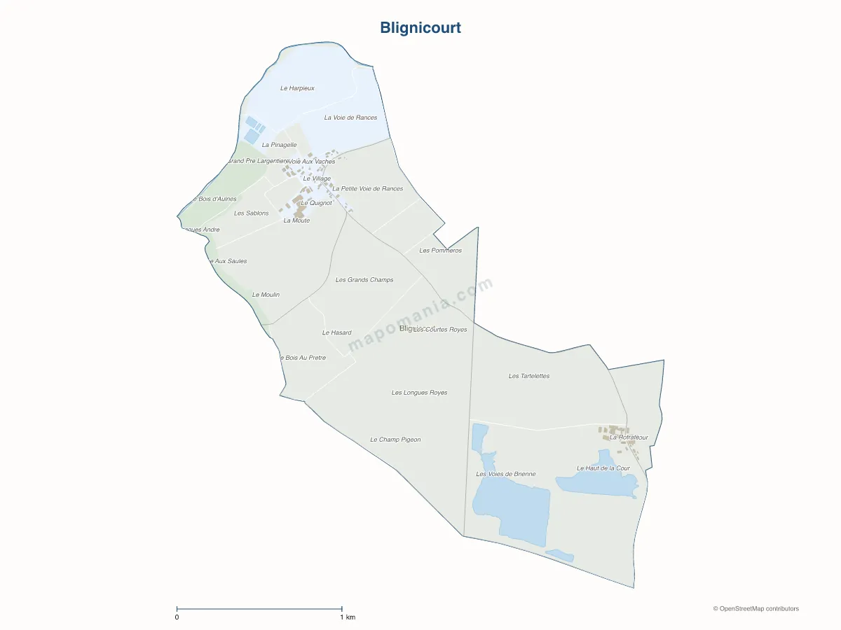 Carte de Blignicourt à personnaliser