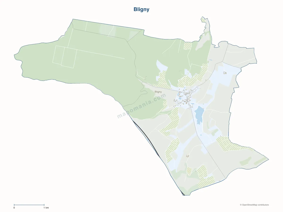 Carte de Bligny à personnaliser