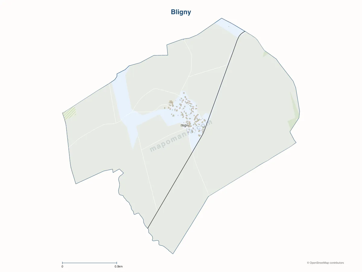 Carte de Bligny à personnaliser