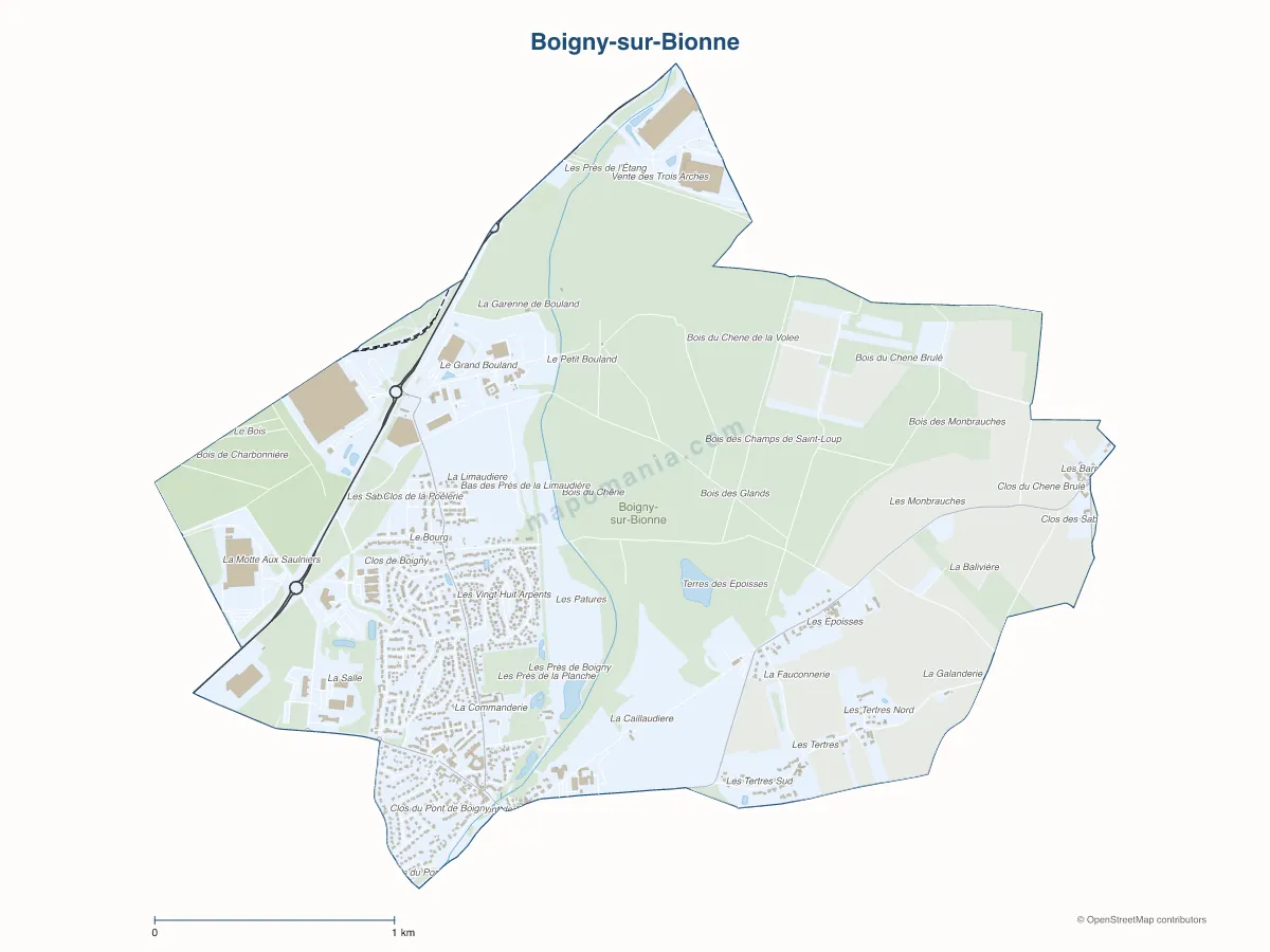 Carte de Boigny-sur-Bionne à personnaliser