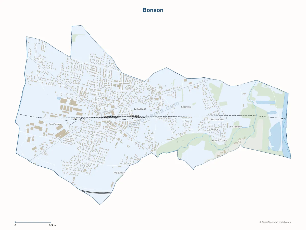Carte de Bonson à personnaliser