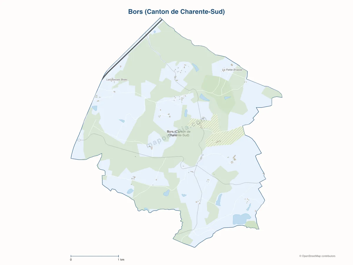 Carte de Bors (Canton de Charente-Sud) à personnaliser