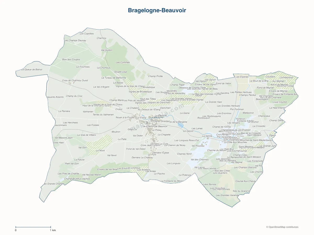 Carte de Bragelogne-Beauvoir à personnaliser