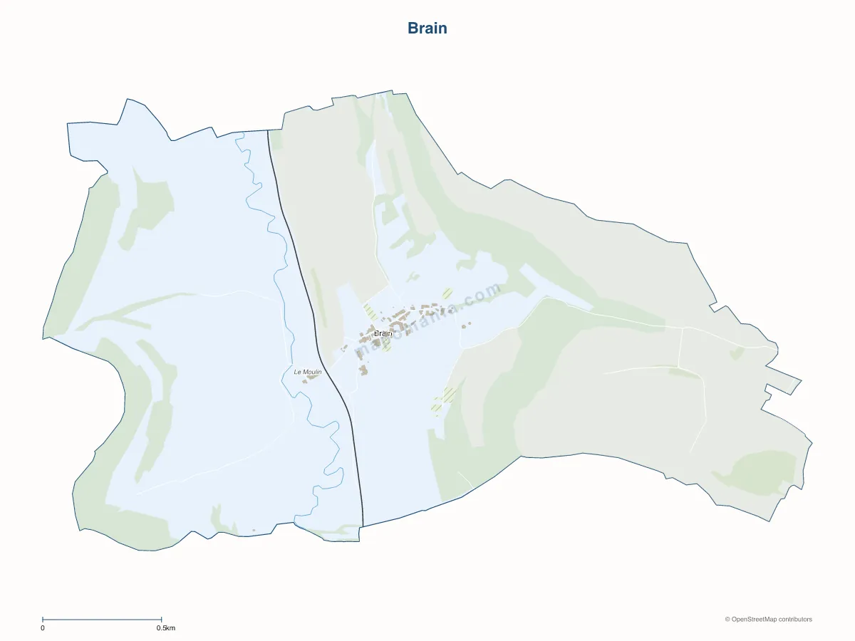 Carte de Brain à personnaliser