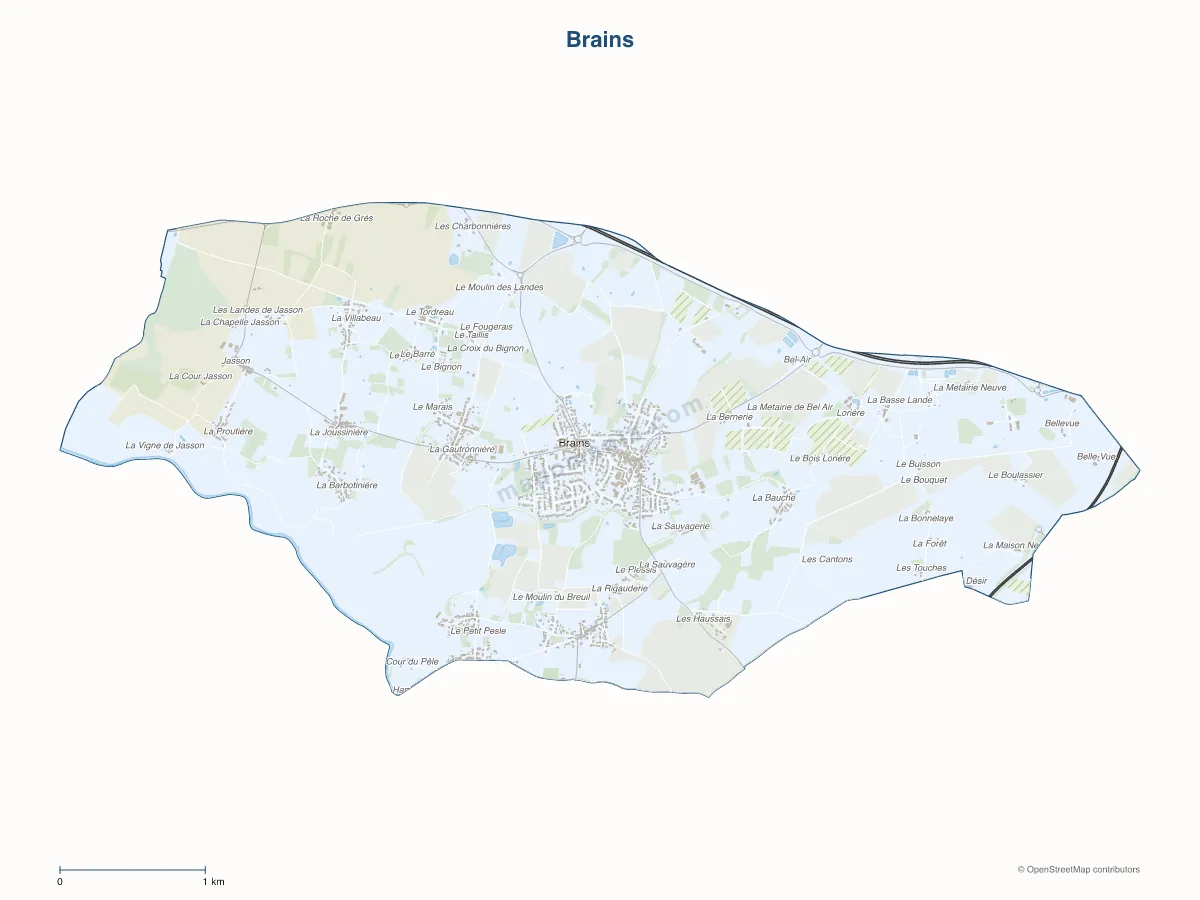 Carte de Brains à personnaliser