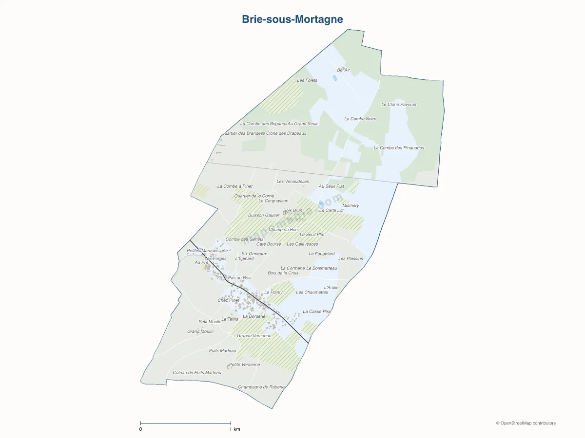Carte de Brie-sous-Mortagne à personnaliser
