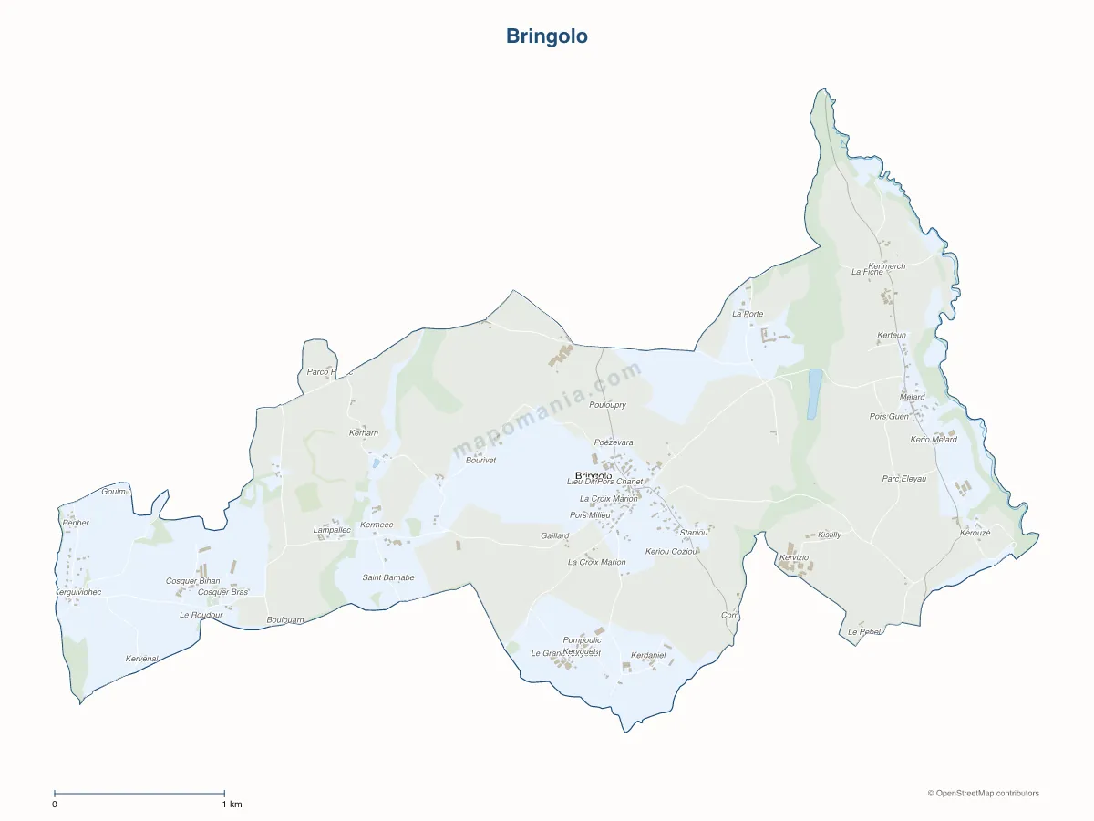 Carte de Bringolo à personnaliser