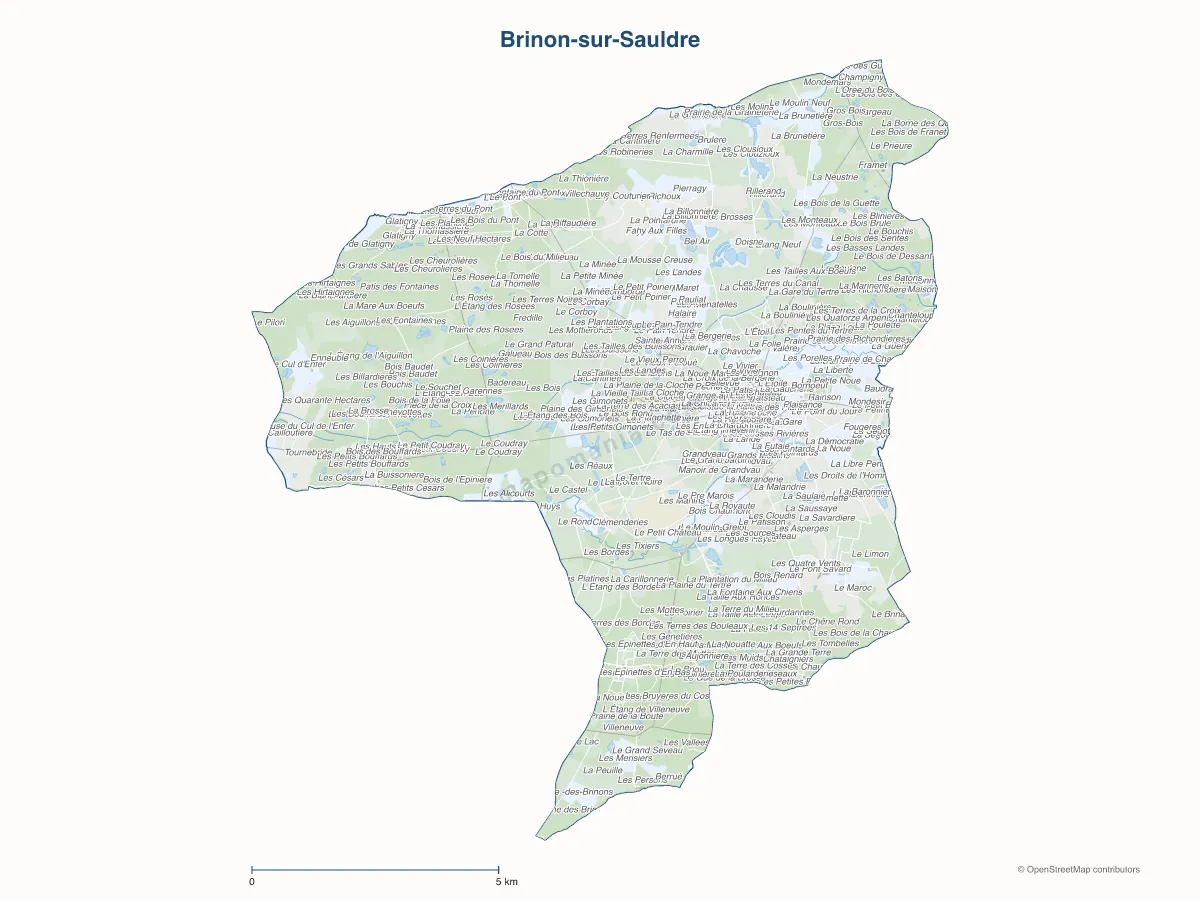 Carte de Brinon-sur-Sauldre à personnaliser