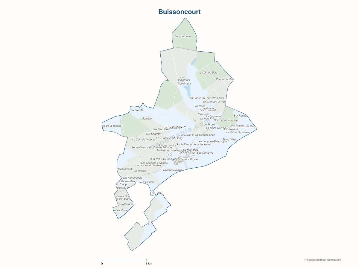 Carte de Buissoncourt à personnaliser