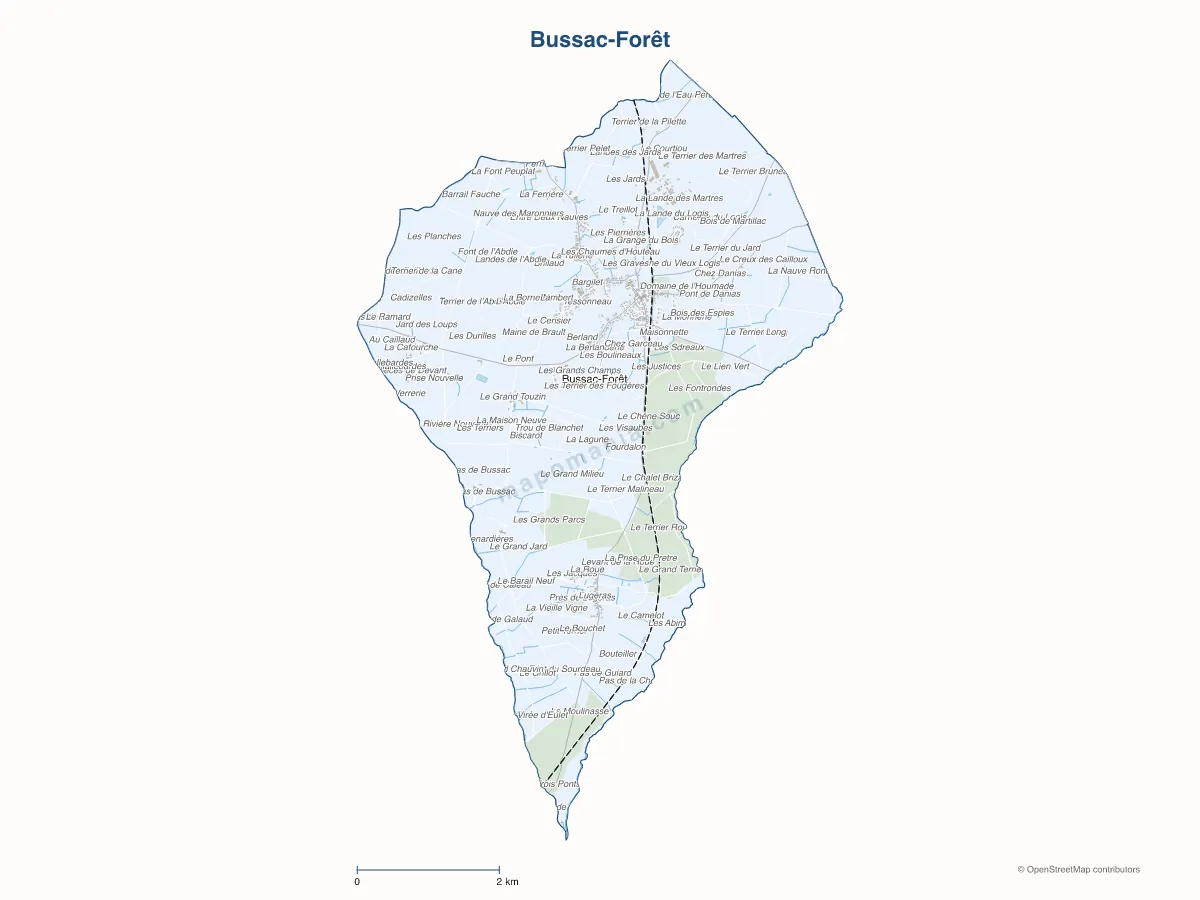 Carte de Bussac-Forêt à personnaliser