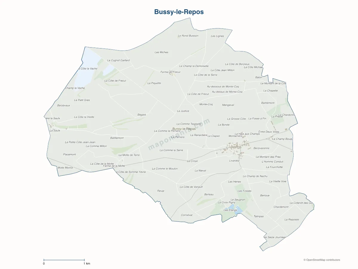 Carte de Bussy-le-Repos à personnaliser