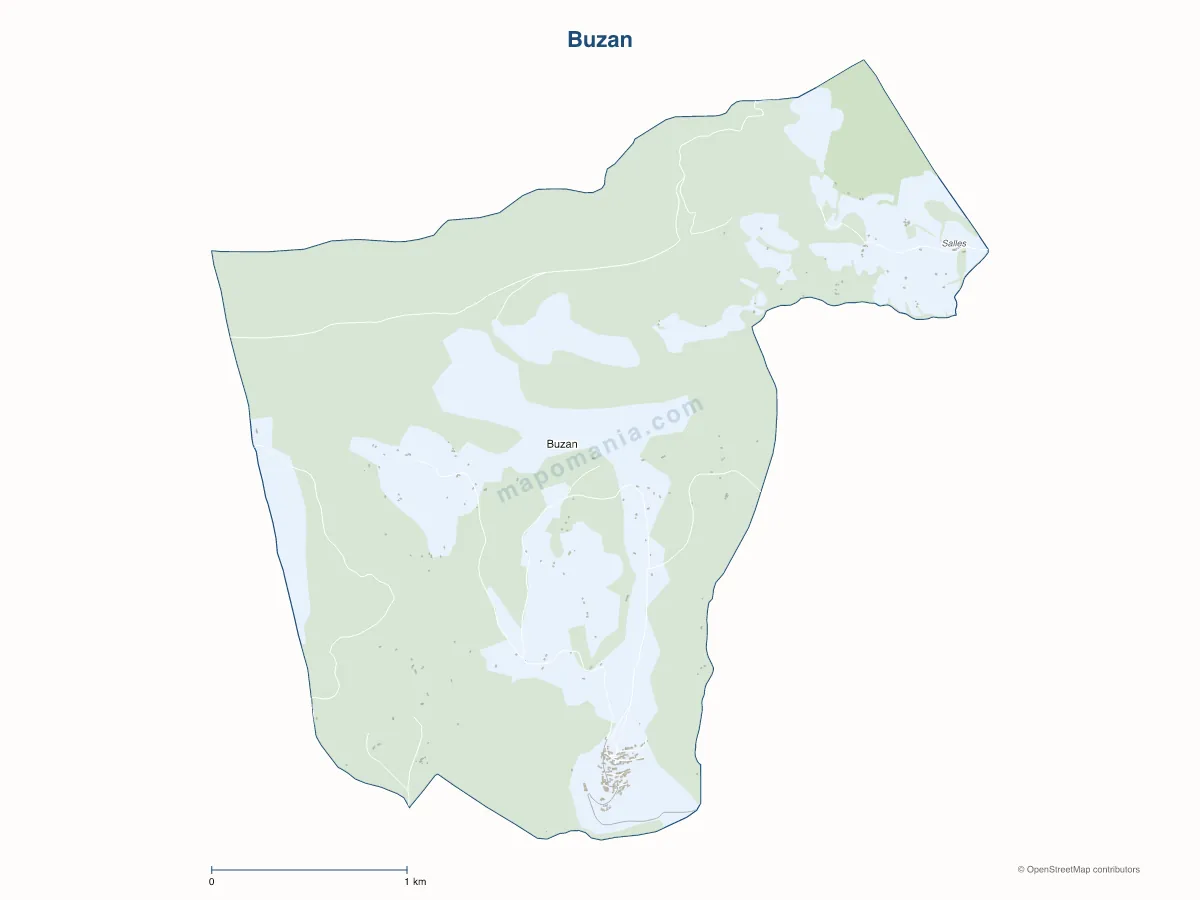 Carte de Buzan à personnaliser