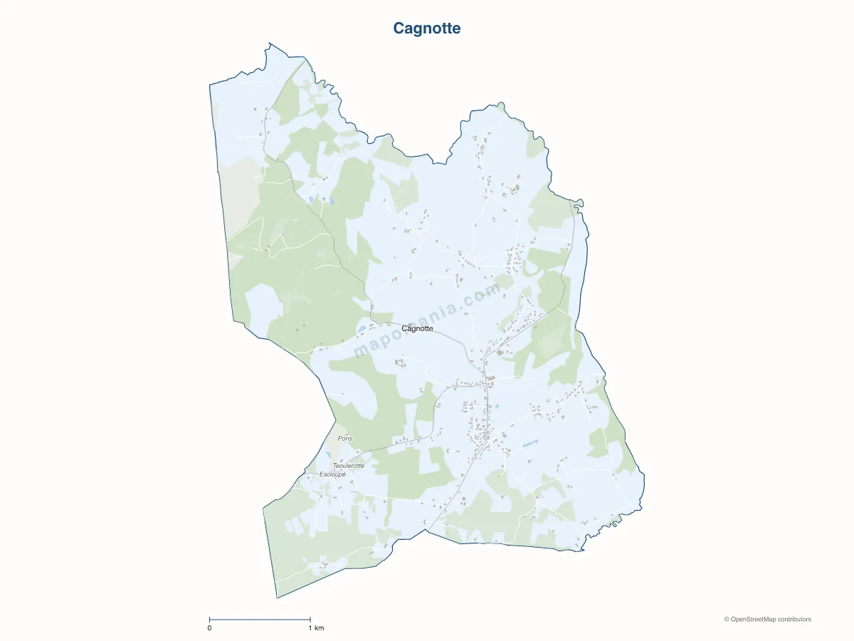 Carte de Cagnotte à personnaliser