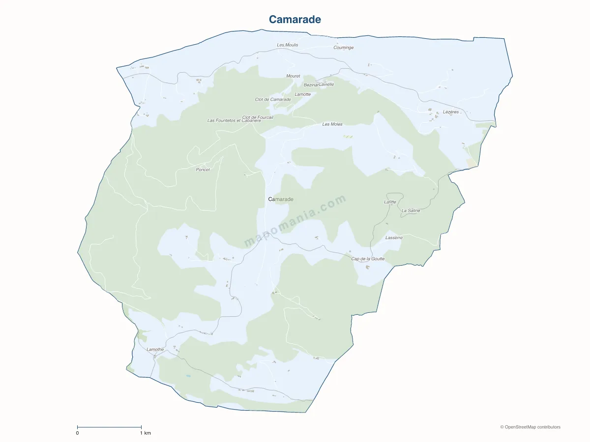 Carte de Camarade à personnaliser