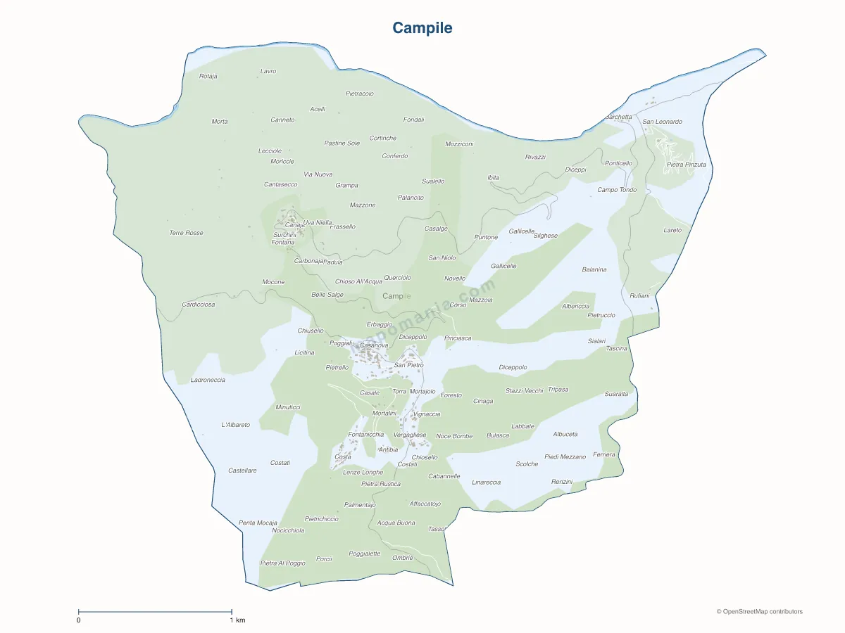 Carte de Campile à personnaliser