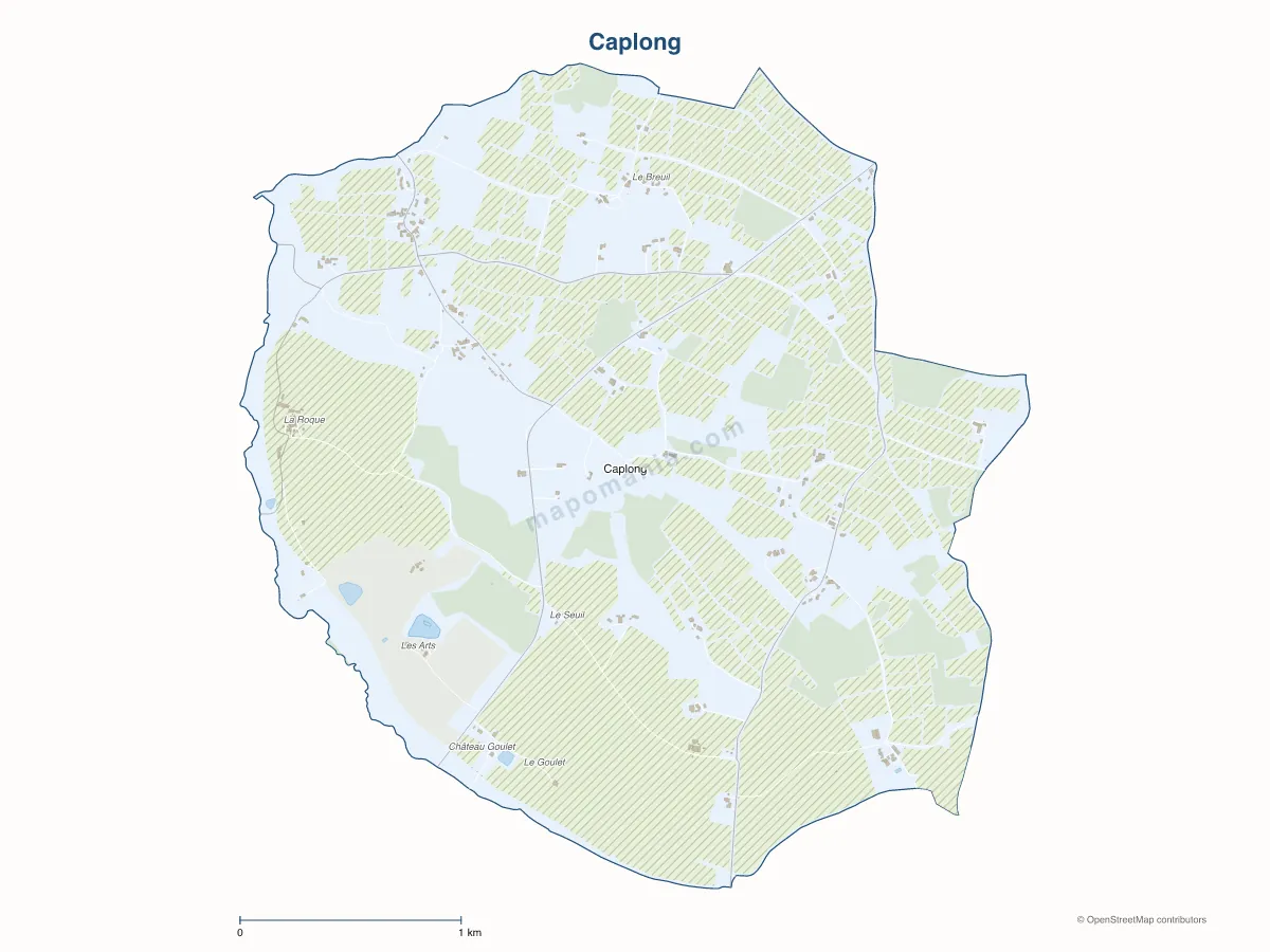 Carte de Caplong à personnaliser