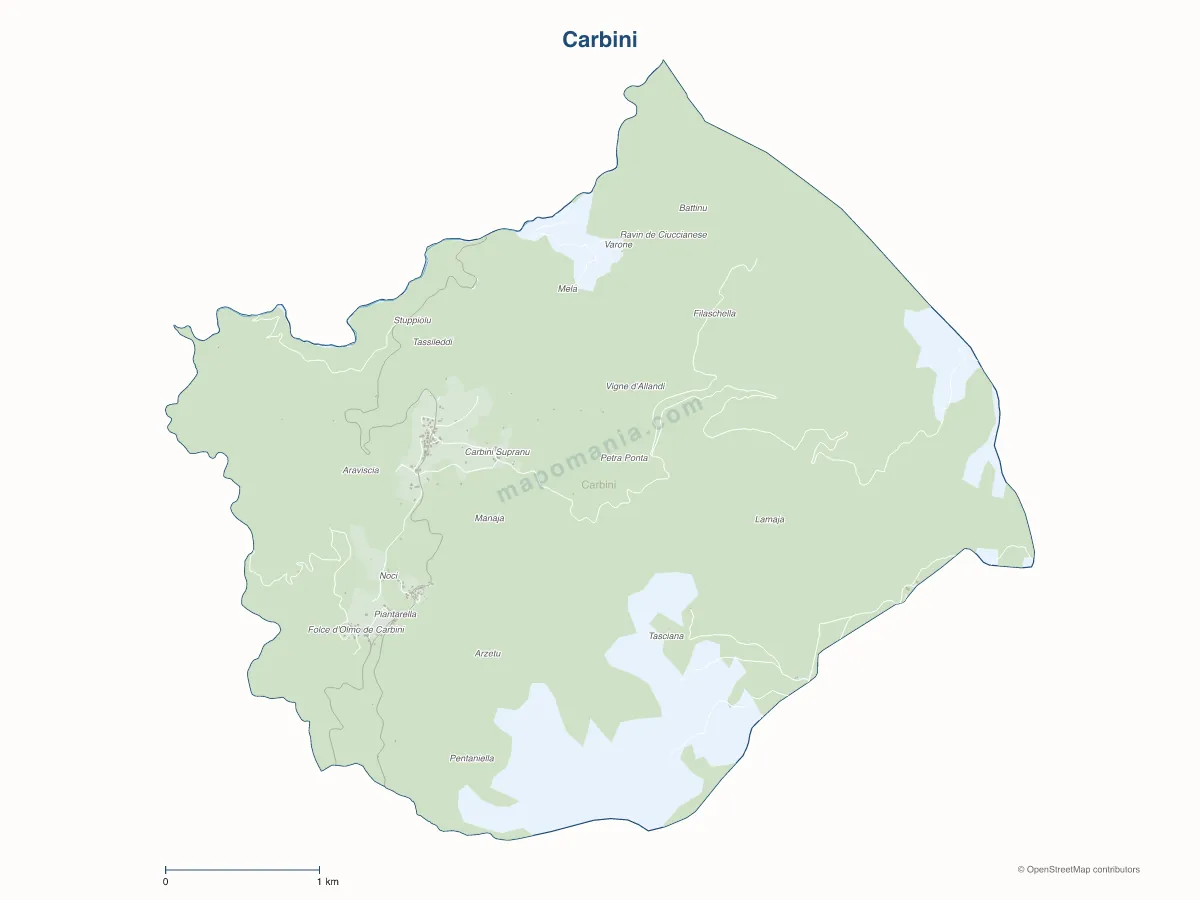 Carte de Carbini à personnaliser