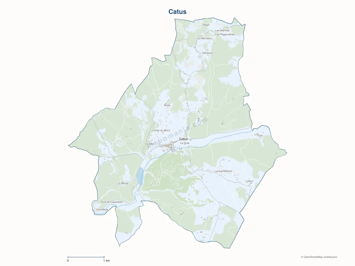 Carte de Catus à personnaliser