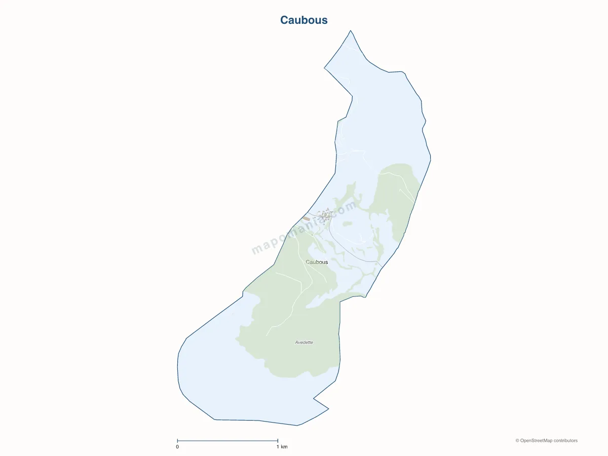Carte de Caubous à personnaliser
