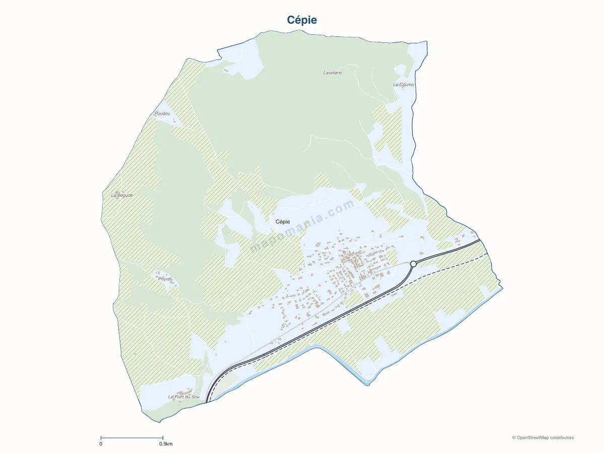 Carte de Cépie à personnaliser