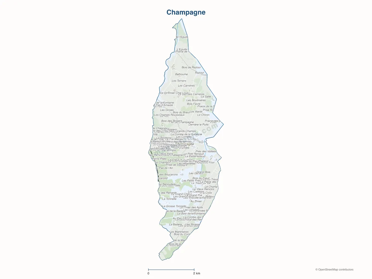 Carte de Champagne à personnaliser