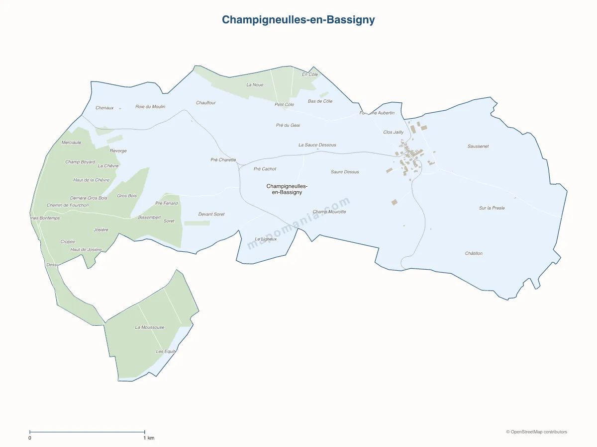 Carte de Champigneulles-en-Bassigny à personnaliser