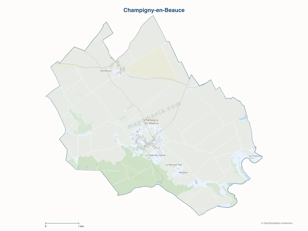 Carte de Champigny-en-Beauce à personnaliser