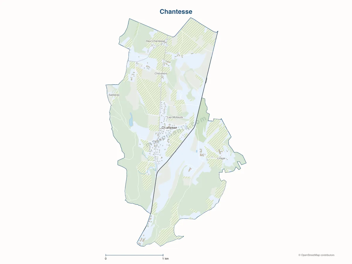 Carte de Chantesse à personnaliser